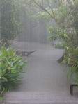 Thai downpour