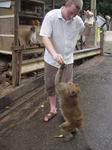 feeding the monkey